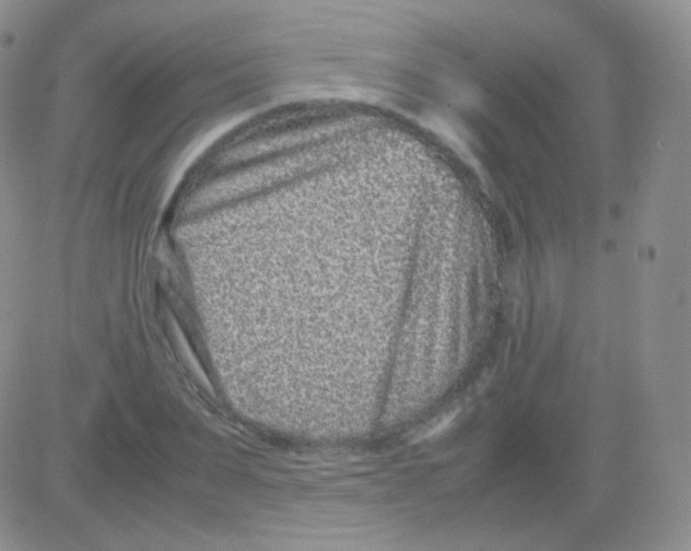 X0000082700879200702232227