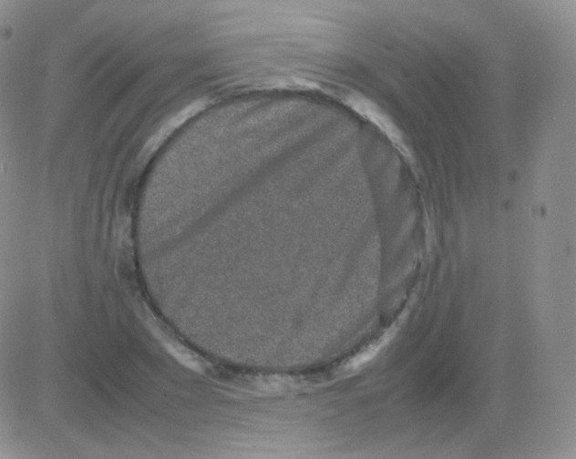 X0000082700881200702232227