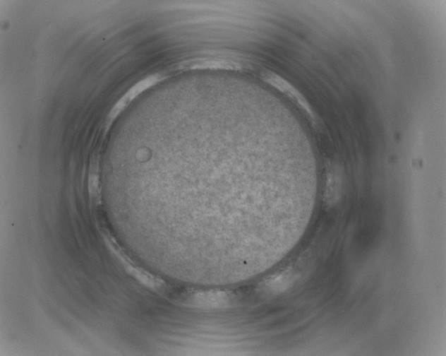 X0000082700882200702232227