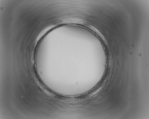 X0000082700885200702232227