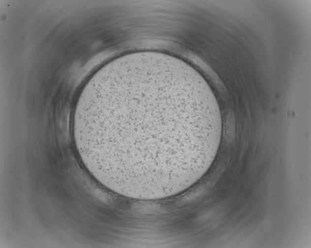 X0000082700886200702232227