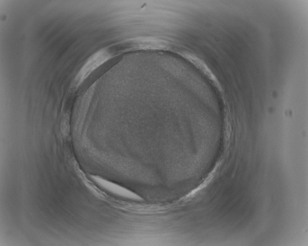 X0000082700889200702232227