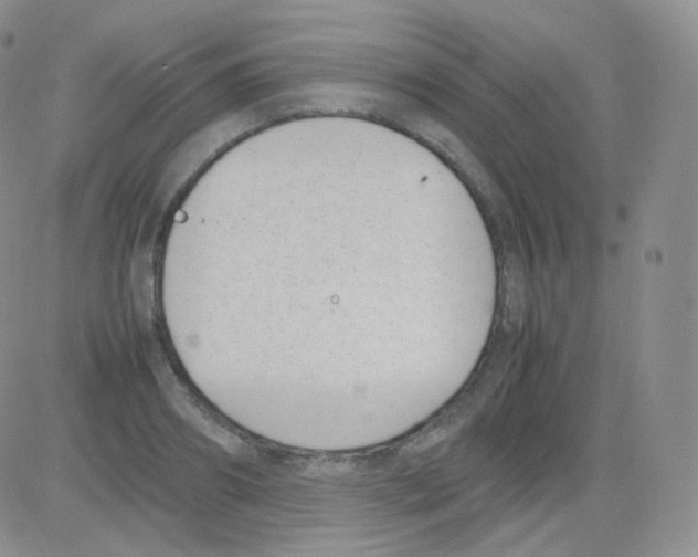 X0000082700890200702232227