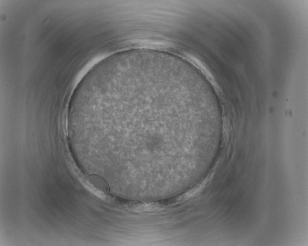 X0000082700891200702232227