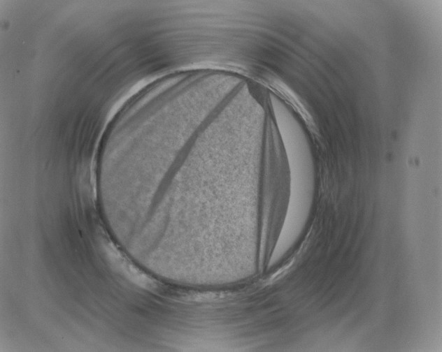 X0000082700892200702232227