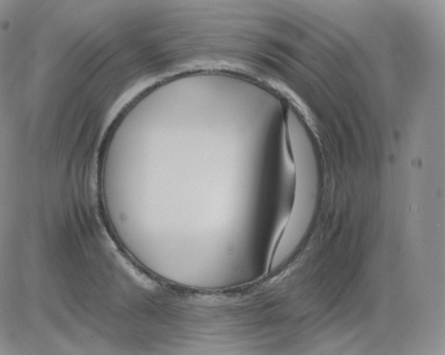 X0000082700894200702232227