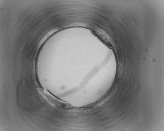 X0000082700898200702232227