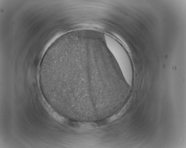 X0000082700899200702232227