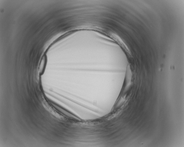 X0000082700900200702232227