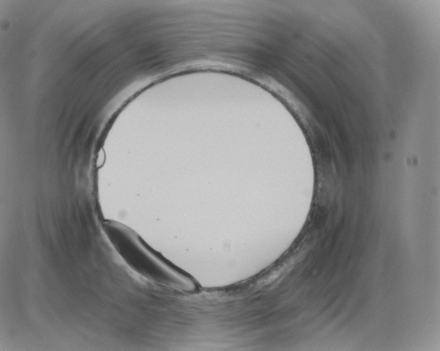 X0000082700902200702232227