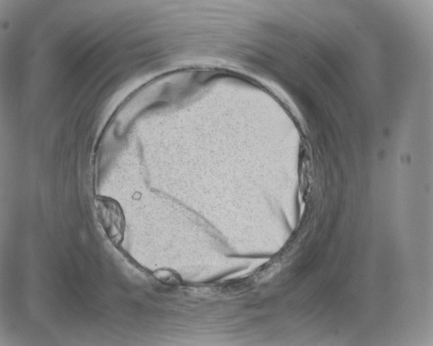 X0000082700903200702232227