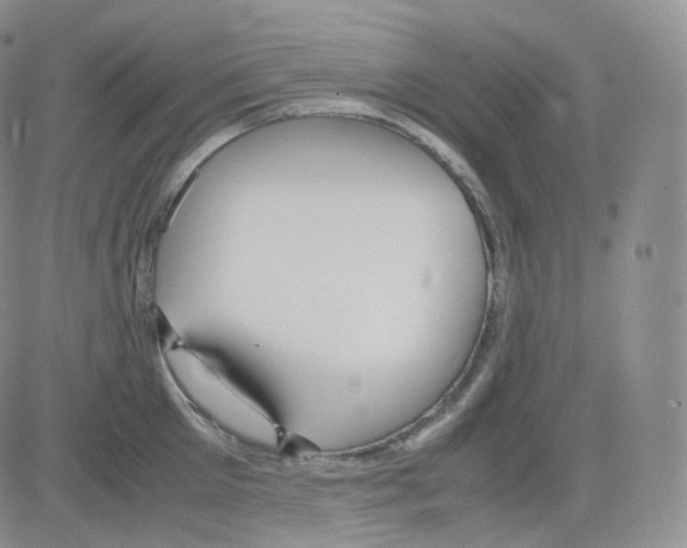 X0000082700905200702232227