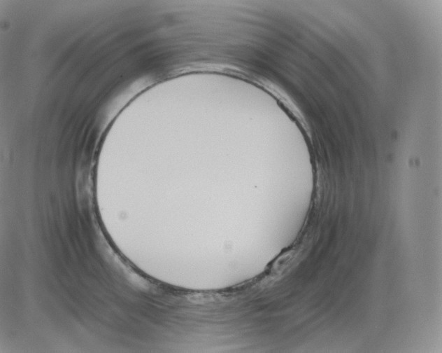 X0000082700906200702232227