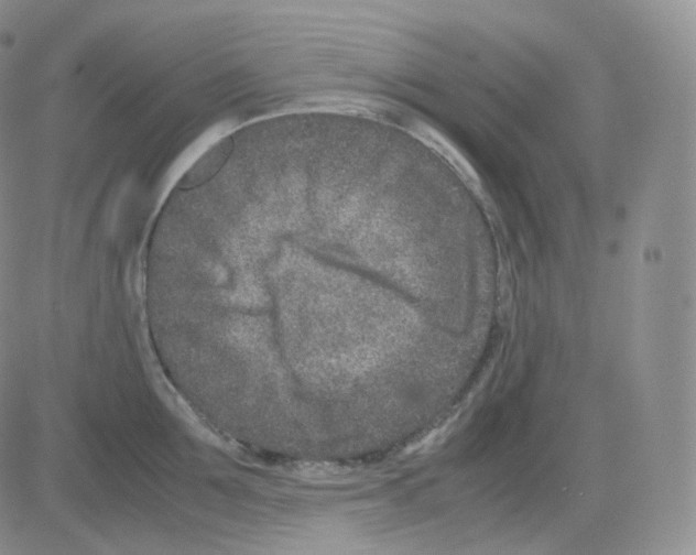 X0000082700907200702232227