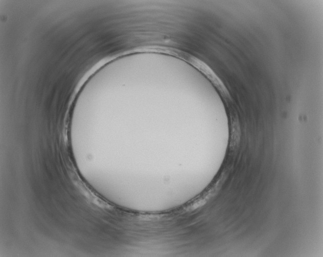 X0000082700908200702232227