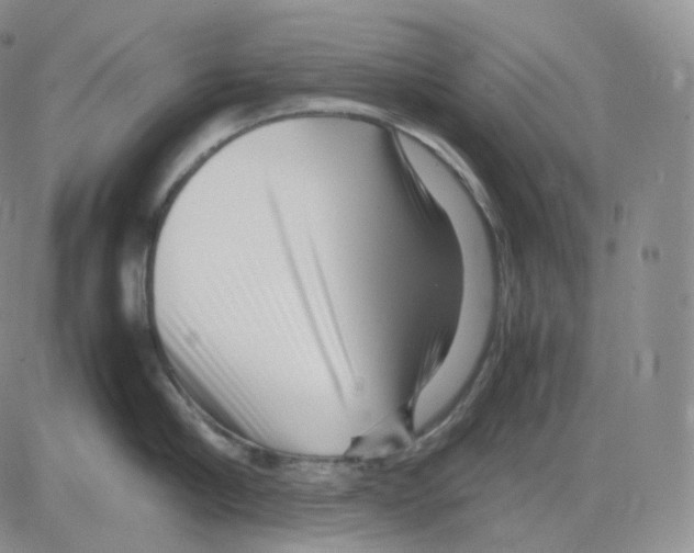 X0000082700910200702232227