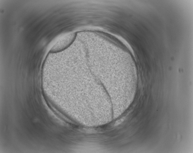 X0000082700911200702232227