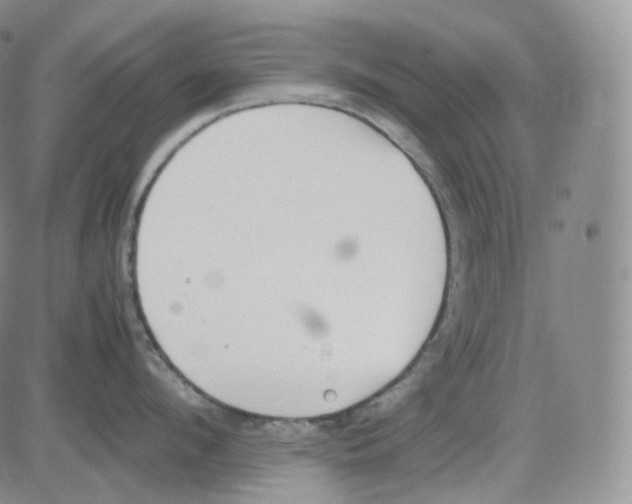 X0000082700912200702232227