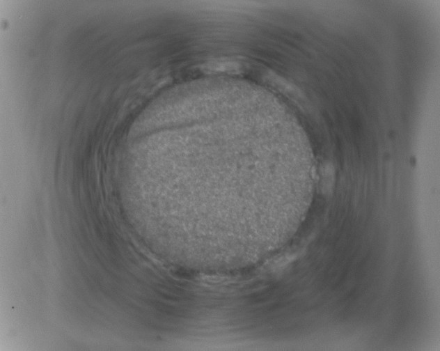 X0000082700913200702232226