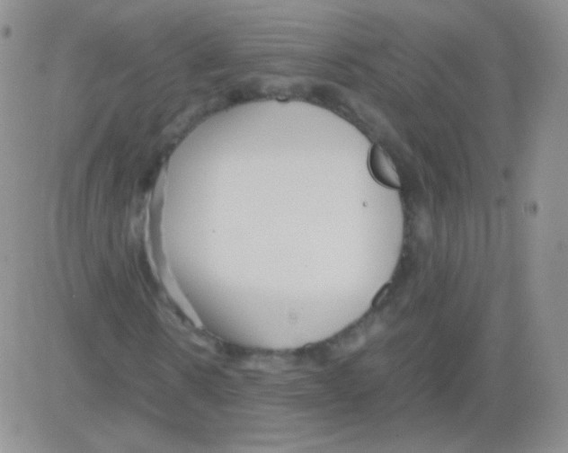 X0000082700914200702232226