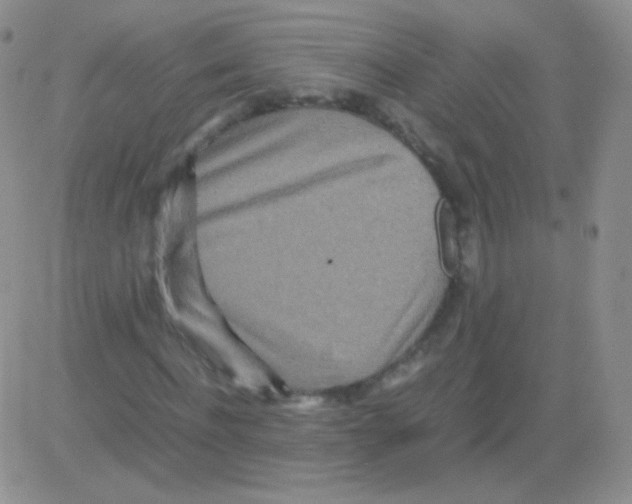 X0000082700916200702232226