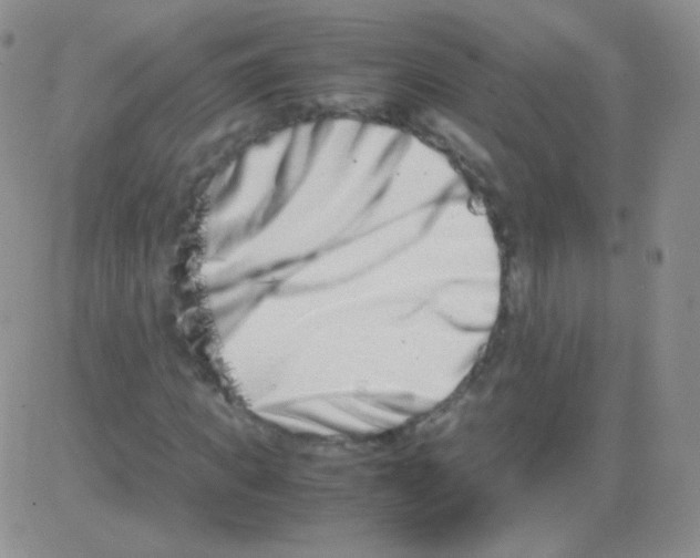 X0000082700917200702232226