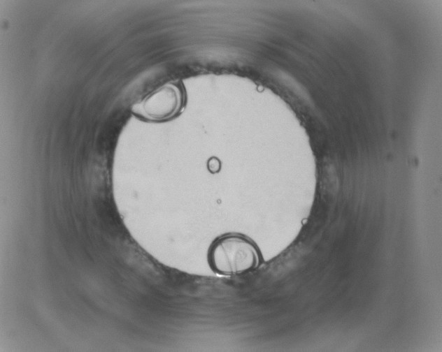 X0000082700918200702232226