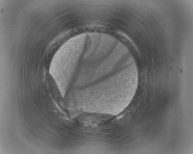 X0000082700919200702232226