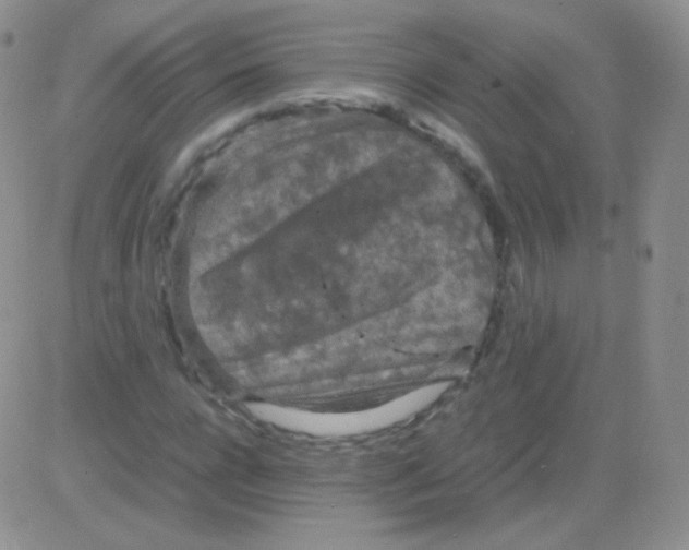 X0000082700920200702232226