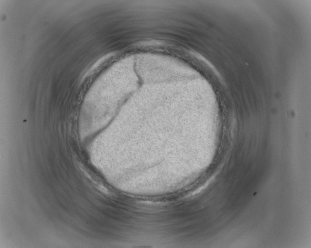 X0000082700921200702232226