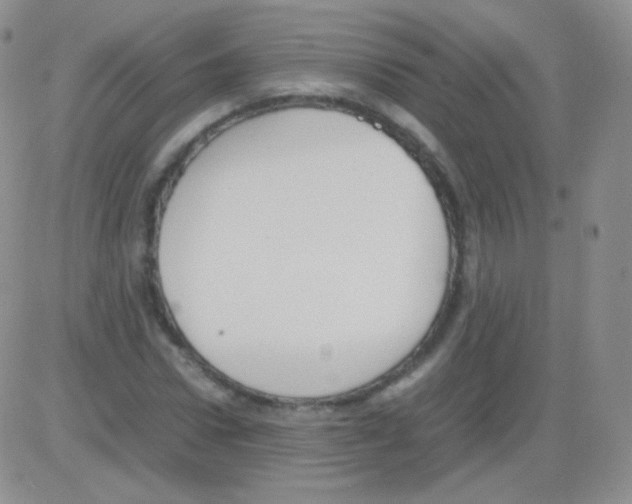 X0000082700922200702232226