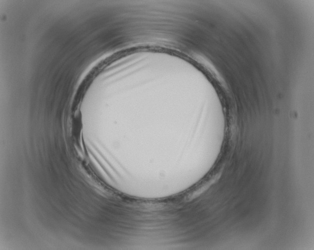 X0000082700924200702232226