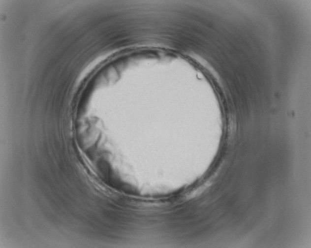 X0000082700925200702232226