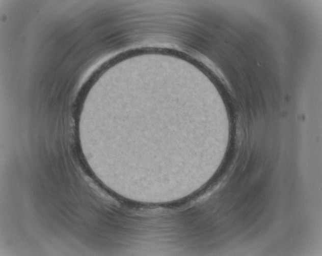 X0000082700926200702232226