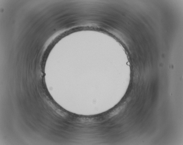 X0000082700927200702232226