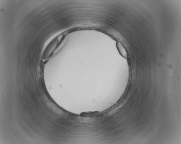 X0000082700928200702232226