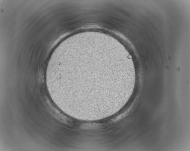 X0000082700929200702232226