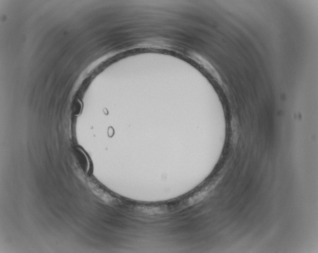 X0000082700931200702232226