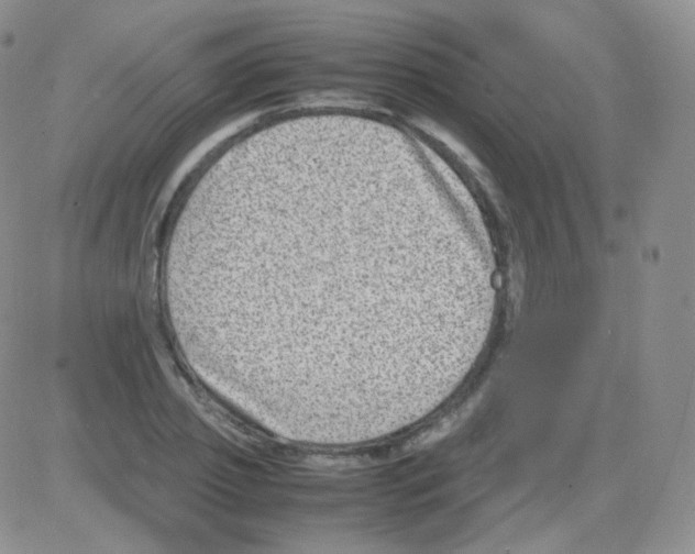 X0000082700933200702232226