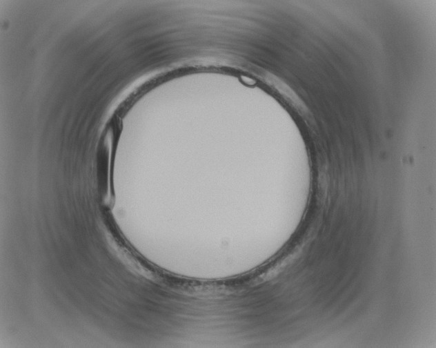 X0000082700934200702232226