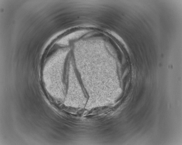 X0000082700935200702232226