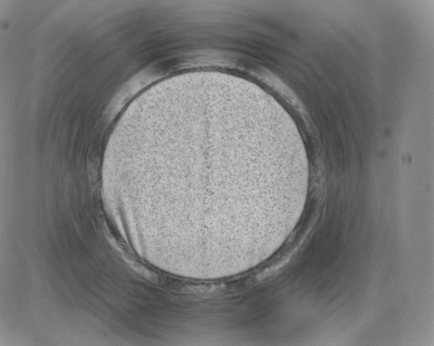 X0000082700937200702232226