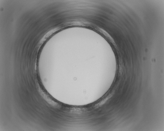 X0000082700938200702232226