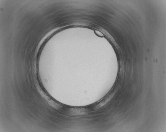 X0000082700939200702232226