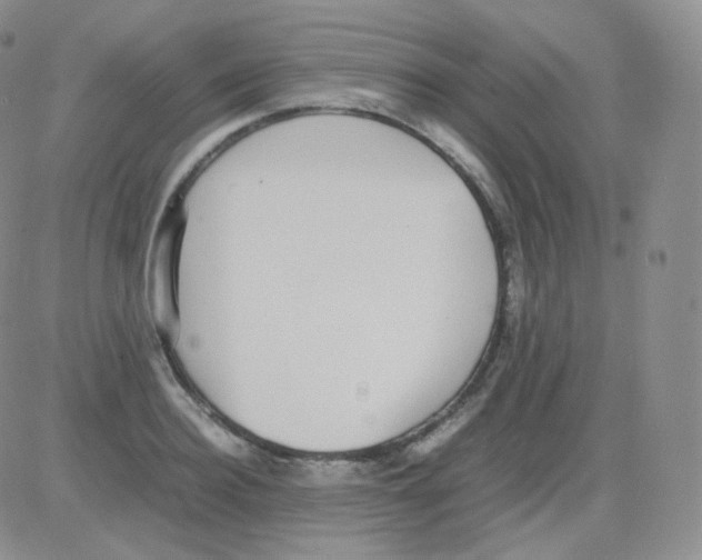 X0000082700940200702232226