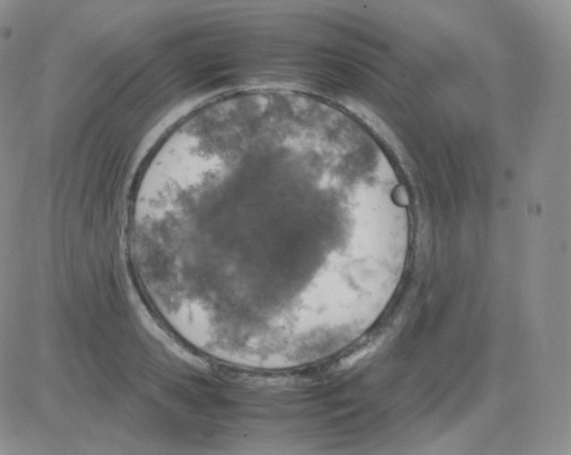 X0000082700941200702232226