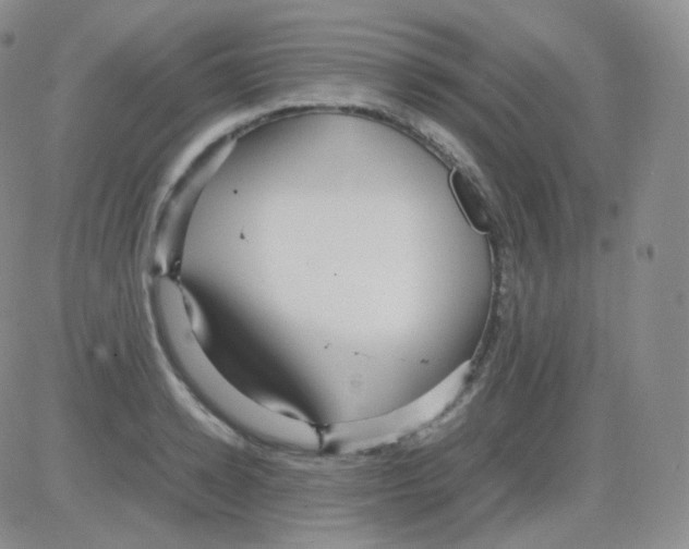 X0000082700942200702232226