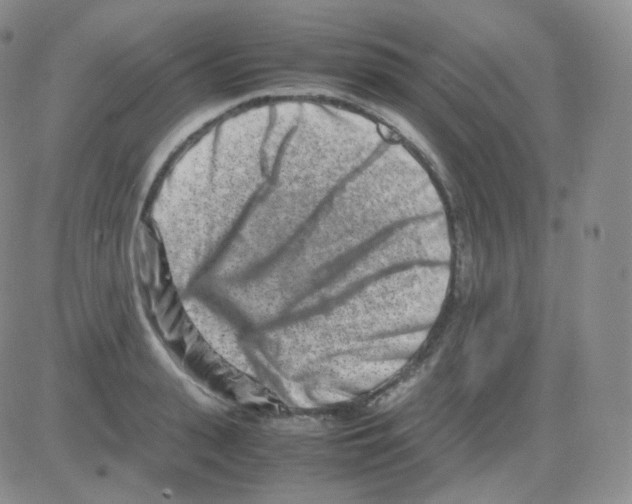 X0000082700943200702232227