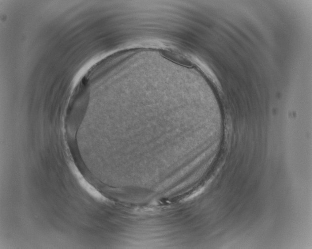 X0000082700944200702232227