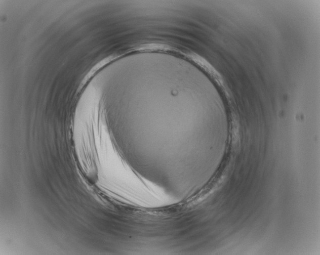 X0000082700945200702232227